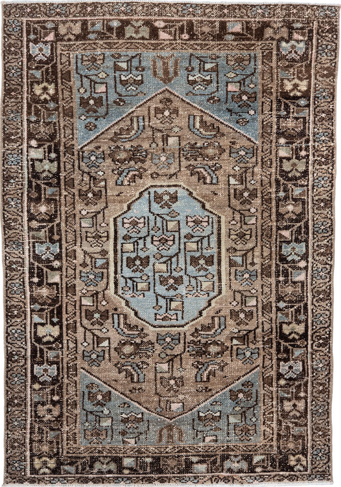 Antique Hamadan Area Rug (3' x 4')